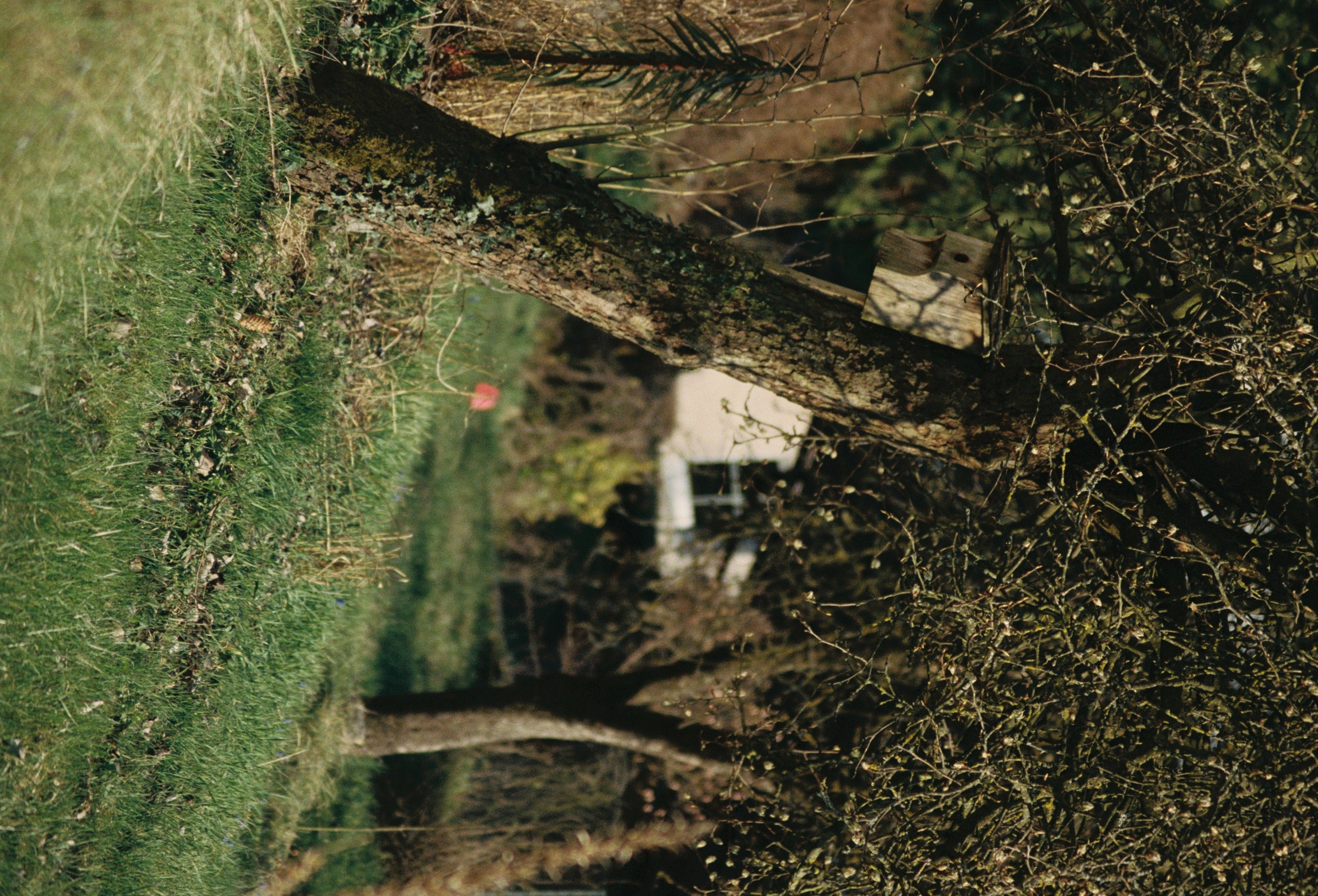 Cham April 2026 Portra